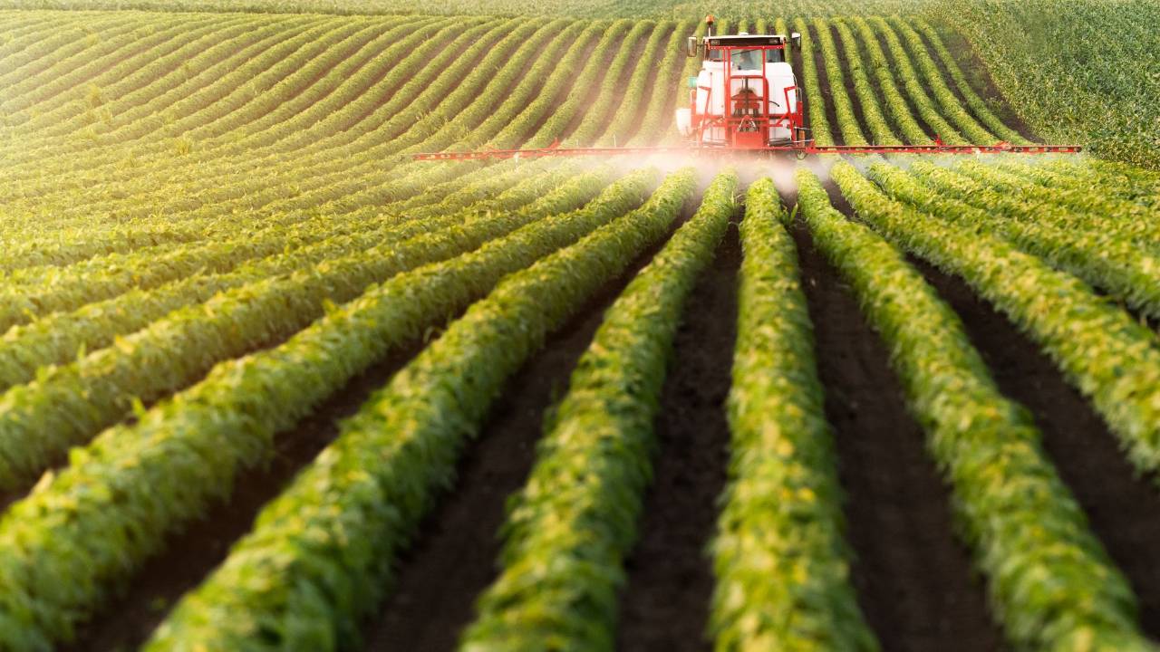 FitBit - Pesticide: U.S. Produce Concerns - May 2024