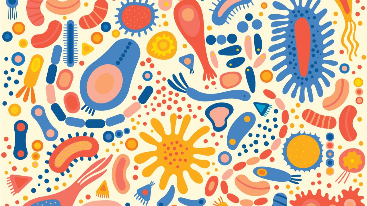 FitBit - Optimizing Your Microbiome - June 2024