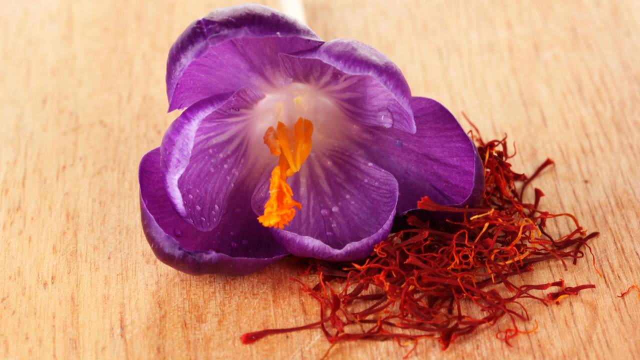 FitBit - The Science of Saffron - March 2024