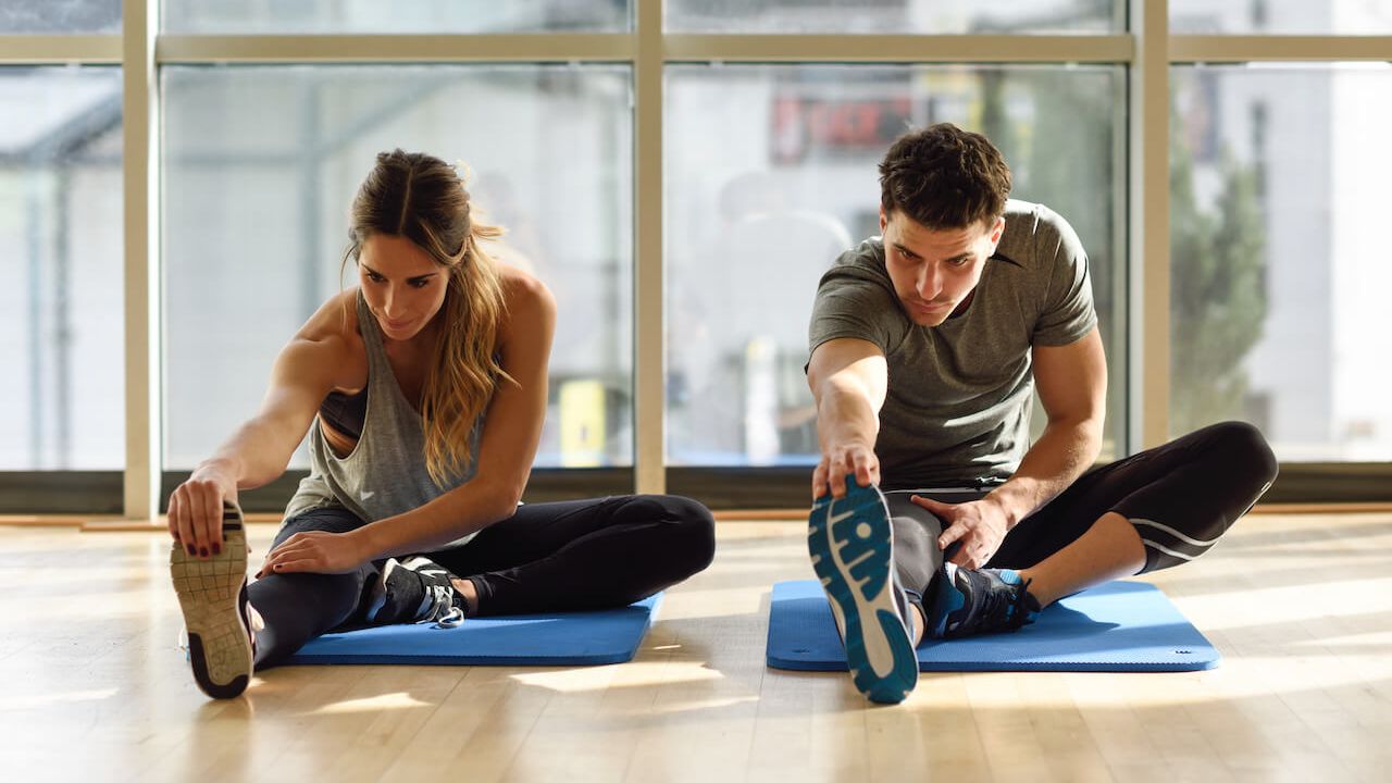 Stretching Anatomy - PDF