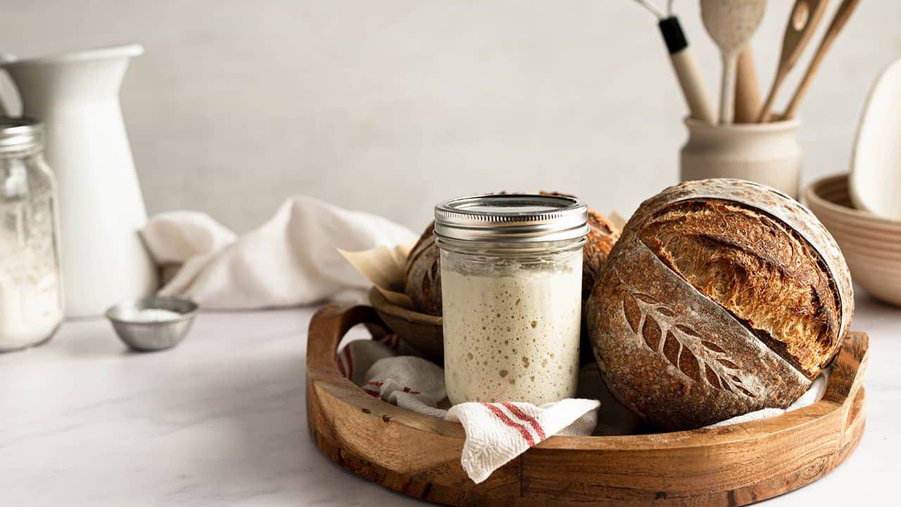 FitBit - The Science of Sourdough Starters - February 2025