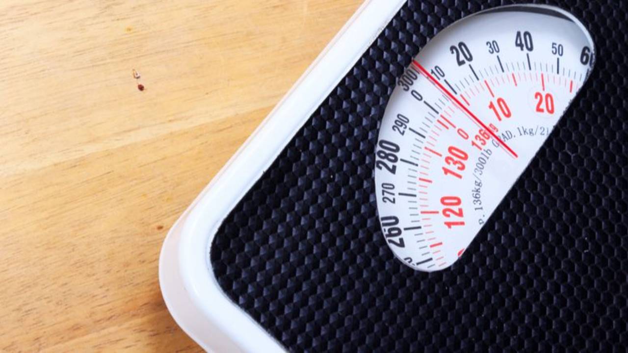 FitSpot - Personalized Fitness and Nutrition Guidance for Obesity Management - August 2024