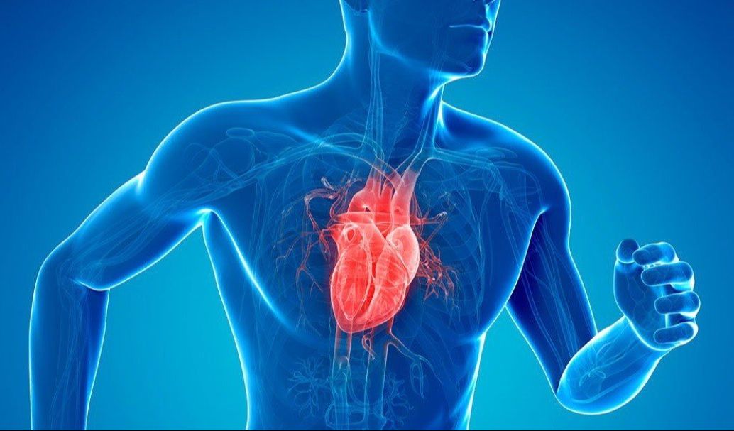 FitSpot - Your Heart Thrives on Exercise: Do You Show It Some Love? - June 2025