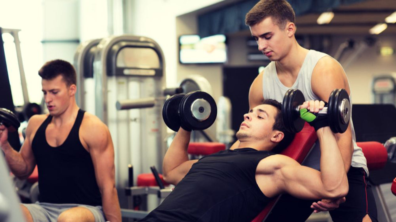 IFPA Premium Community - Personal Fitness Trainer