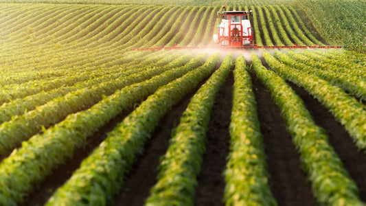 FitBit - Pesticide: U.S. Produce Concerns  - May 2024