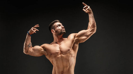 Bodybuilding Specialist - PDF Book