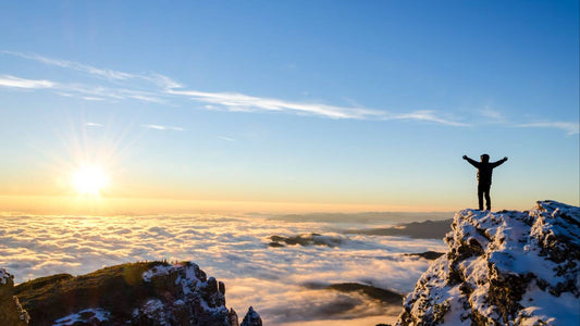 FitBit - How to Make 2025 the Best Year Of Your Life - December 2024