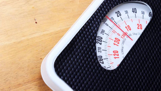 FitSpot - Personalized Fitness and Nutrition Guidance for Obesity Management - August 2024