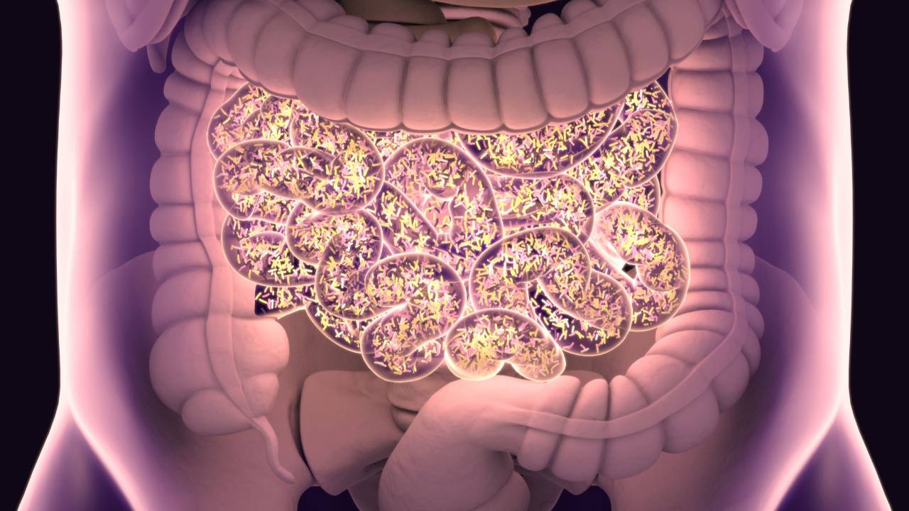FitBit - Gut Health: Prebiotics & Probiotics - October 2023